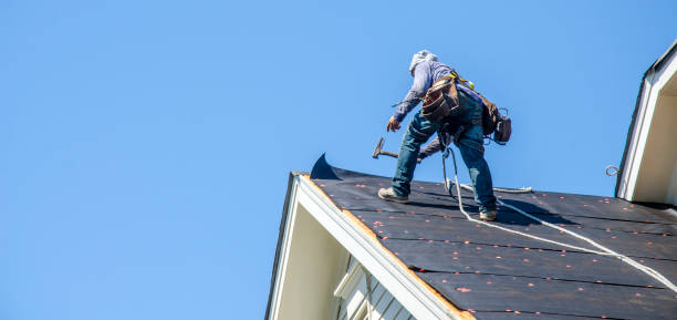 Roof Gutter Cleaning in Sedgwick, KS